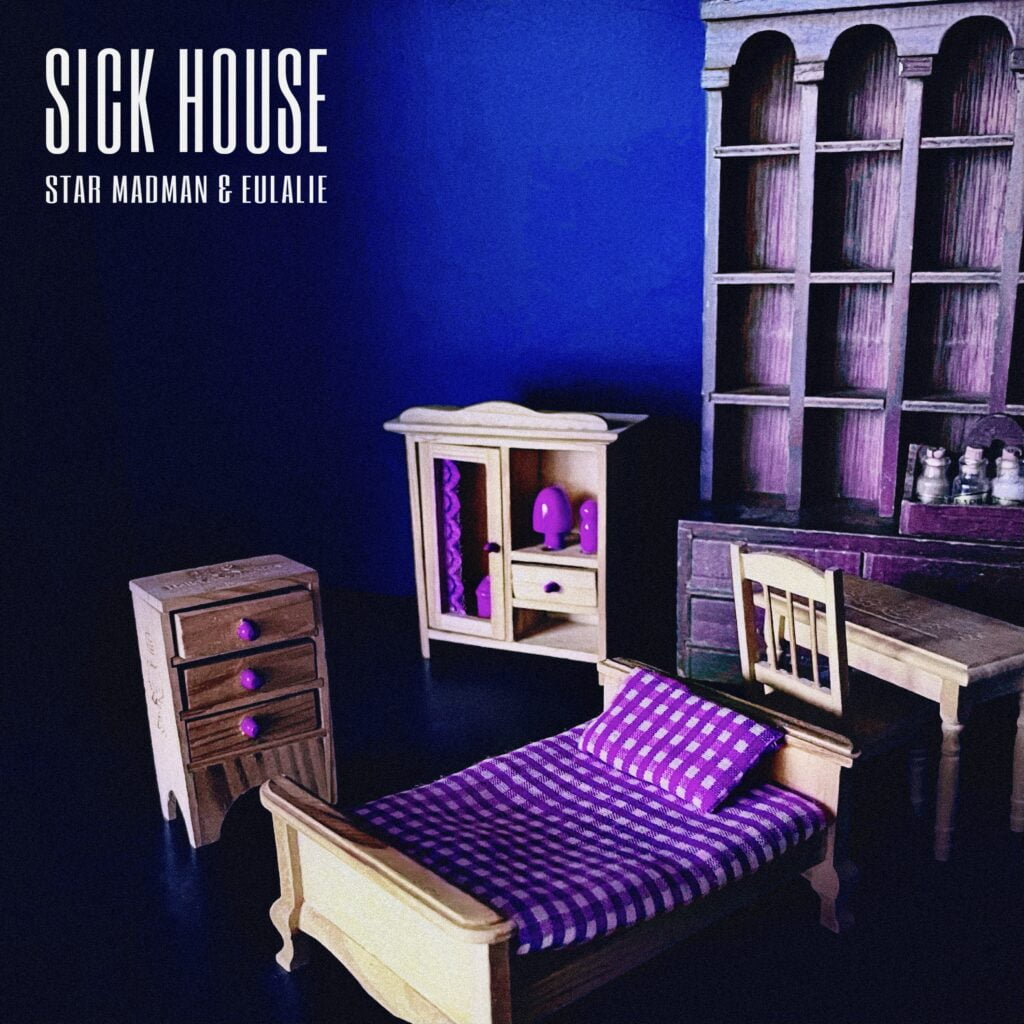 👁‍🗨Release👁‍🗨 Star Madmanとのコラボシングル”Sick House”がリリースされました。